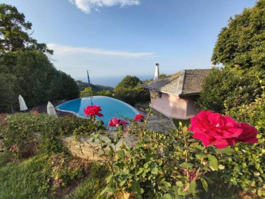 Tsagkarada Country Estate With Pool Tsagarada Exterior foto
