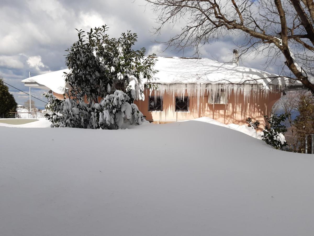 Tsagkarada Country Estate With Pool Tsagarada Exterior foto